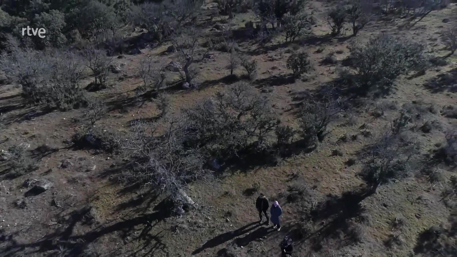 España Directo - 09/02/22 - ver ahora