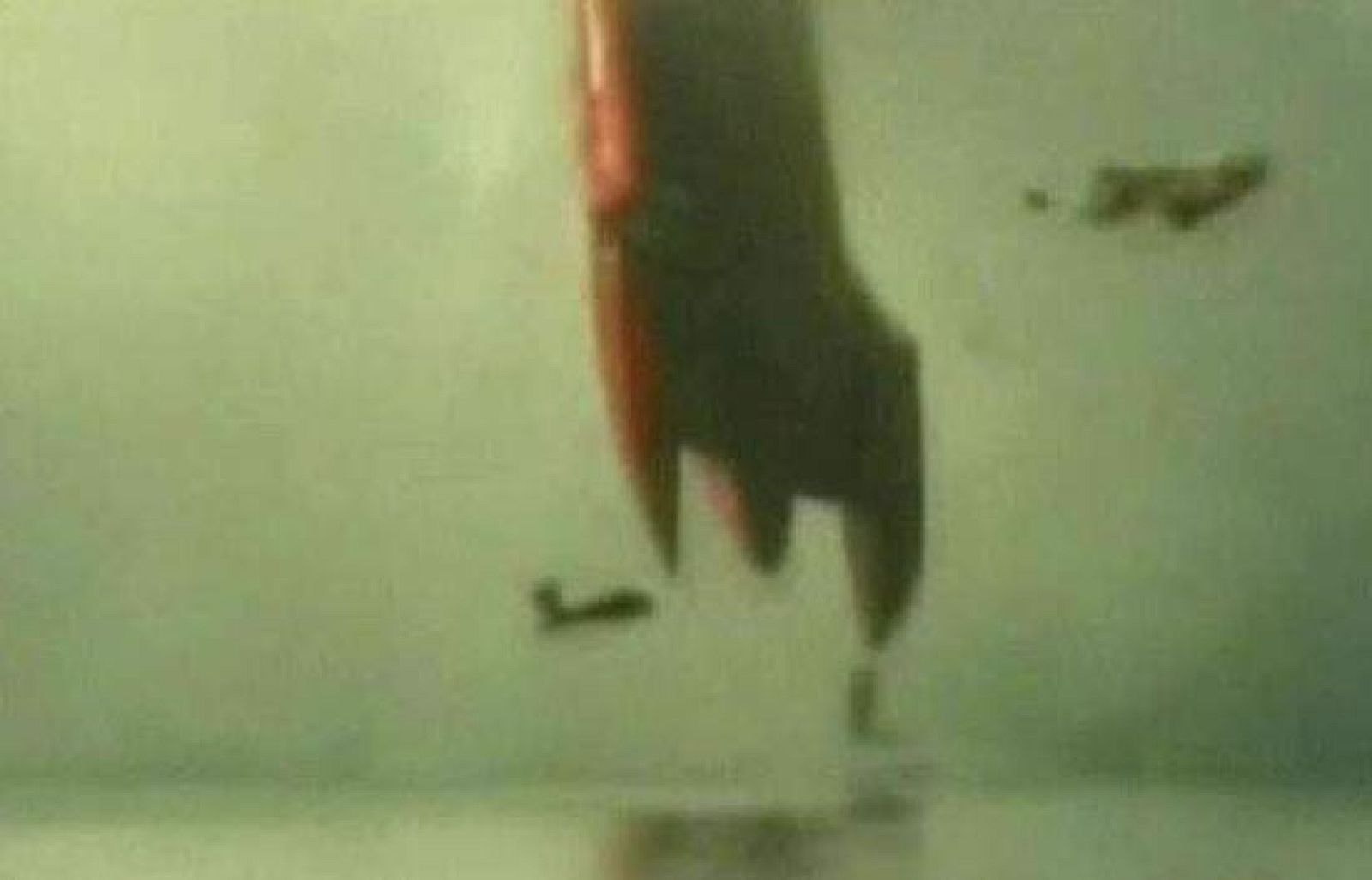 Un espectacular accidente en una carrera de lanchas de fuera borda alarmó a todos los asistentes pero Joel Webber, el piloto del fuera borda que salió por los aires, salió caminando, aunque podría tener lesiones internas.