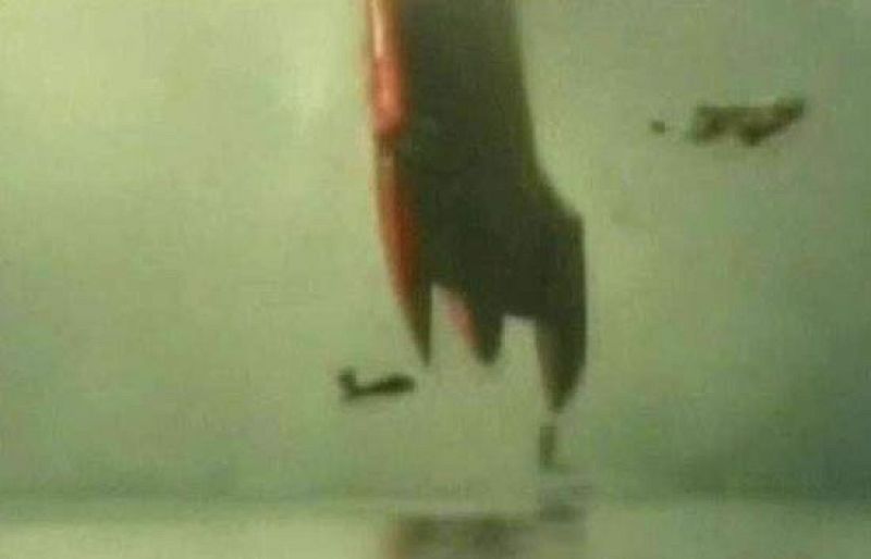 Un espectacular accidente en una carrera de lanchas de fuera borda alarmó a todos los asistentes pero Joel Webber, el piloto del fuera borda que salió por los aires, salió caminando, aunque podría tener lesiones internas.