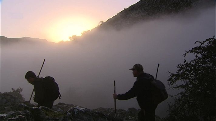 Jara y sedal - El reino de la niebla