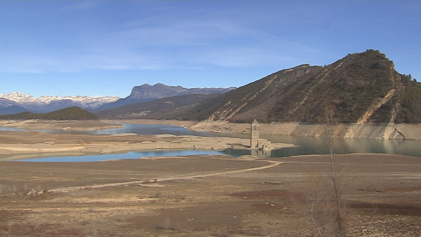 Agrosfera - 12/02/22 - ver ahora