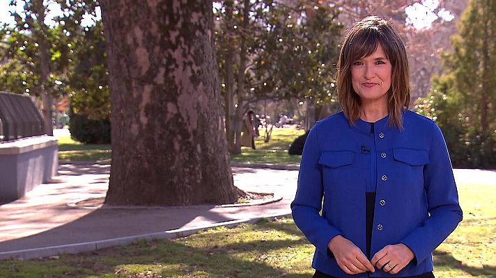 Parlamento - Parlamento - 12/02/22