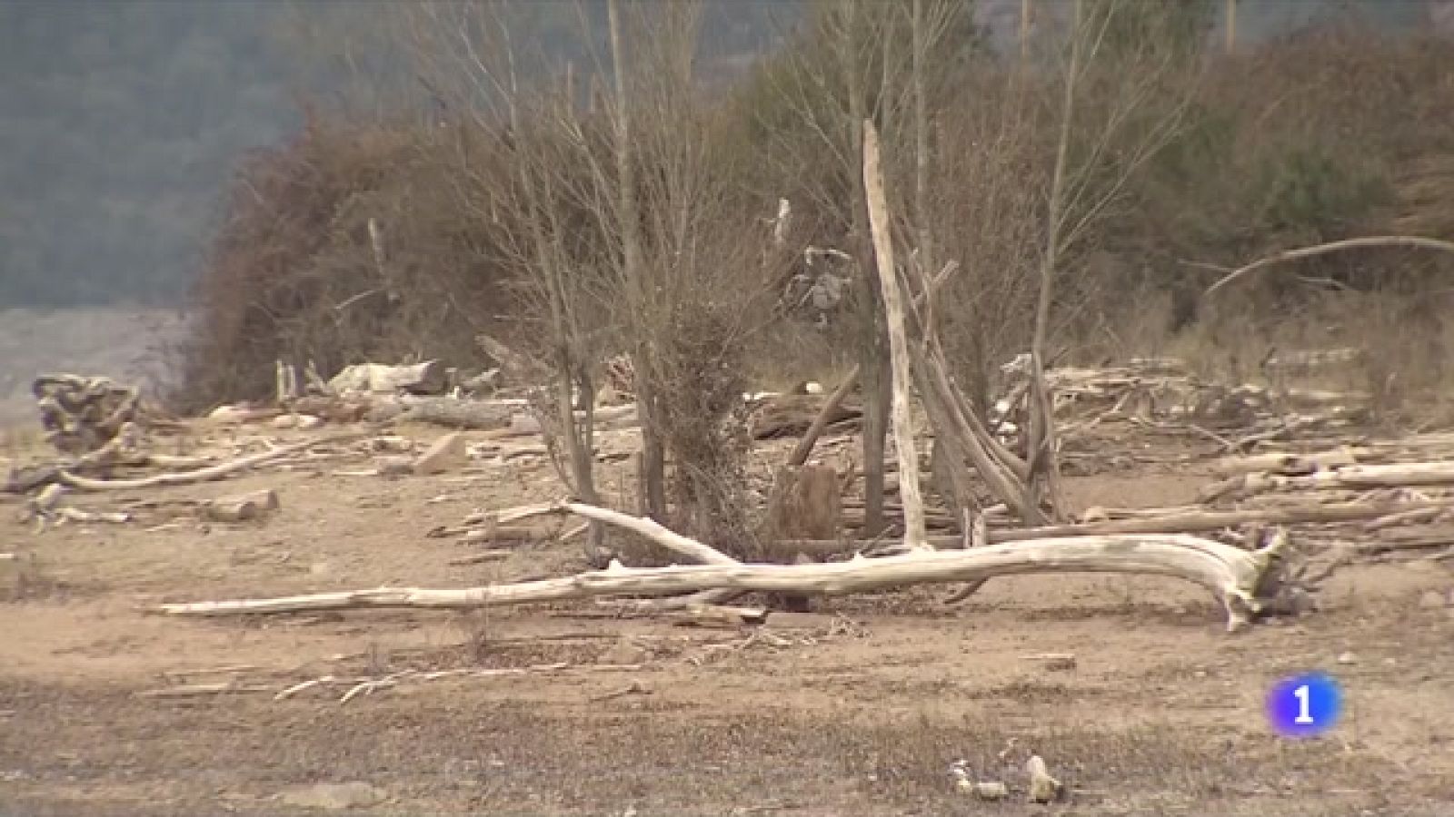 Les reserves d'aigua s'apropen al 50%