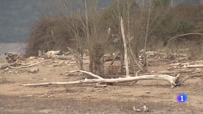 L'Informatiu - Les reserves d'aigua s'apropen al 50%