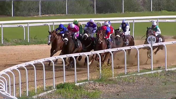 Hípica - Circuito nacional carreras de caballos (Hip.Dos Hermanas)