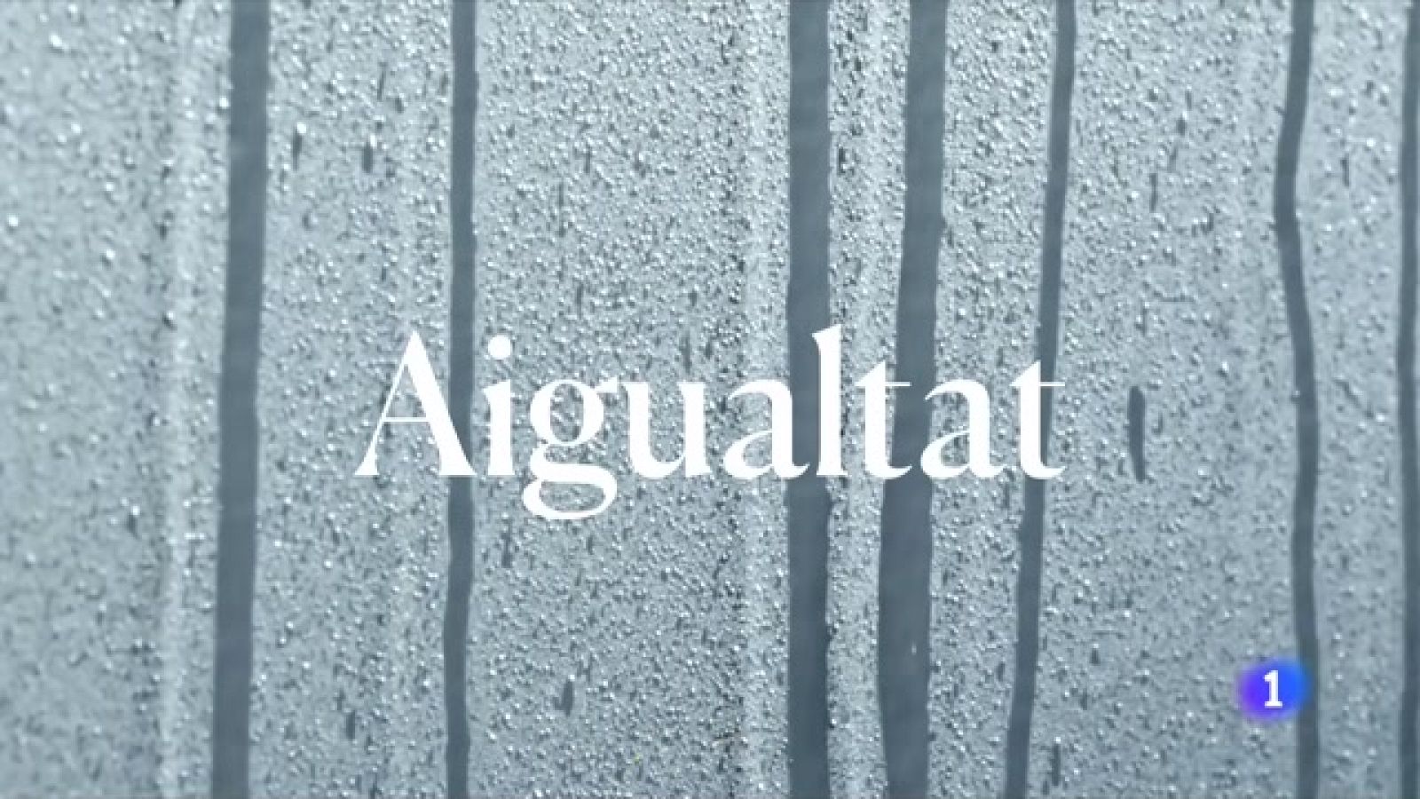 Unes 76.000 famílies s'acullen actualment a la tarifa social de l'aigua