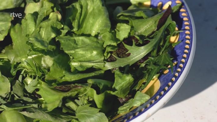 Aquí la Tierra - Huerta de invierno y la familia de las brassicas
