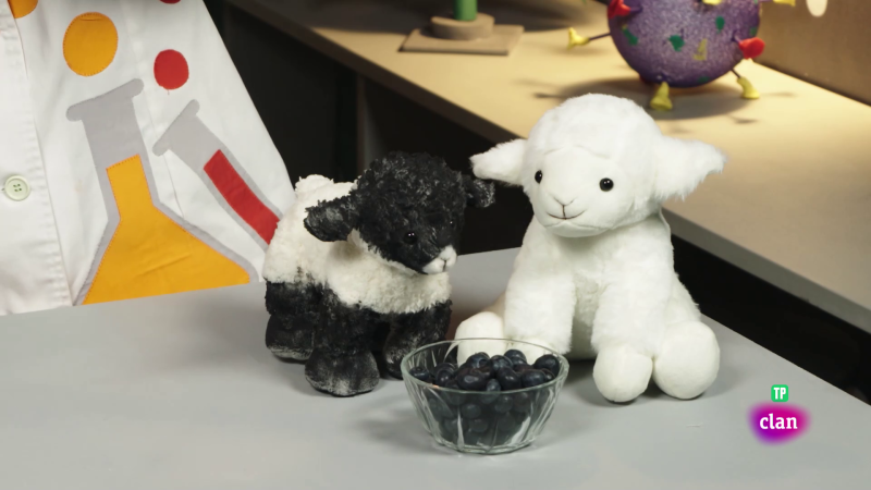 CIENCIAS NATURALES - Fauna y flora de Navarra - Aprendemos en Clan | Ver