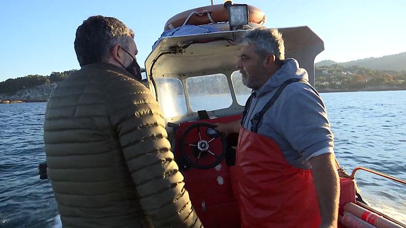 Lo que esconde la etiqueta, sumario de Comando Actualidad | Ver