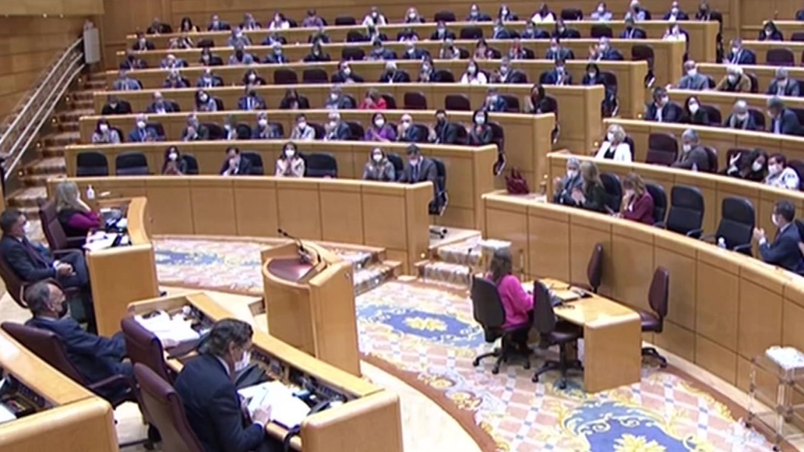 Especial informativo - Sesión de control al gobierno en el Senado - ver ahora