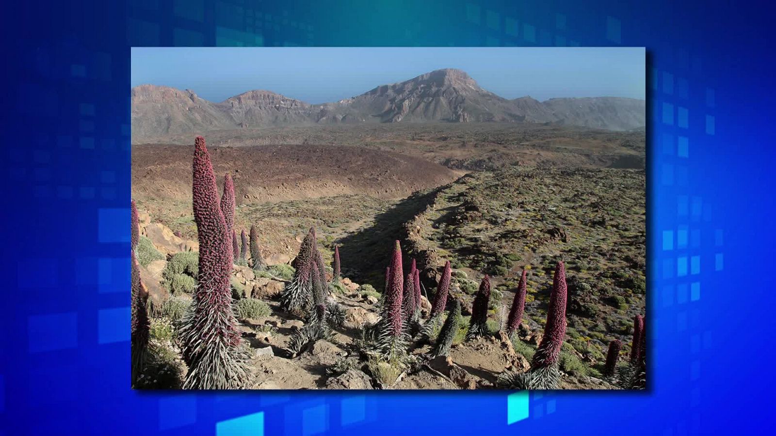 Saber y ganar - 18/02/22 - ver ahora