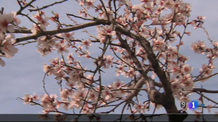 Informativo de Madrid - Informativo de Madrid 1 16/02/2022