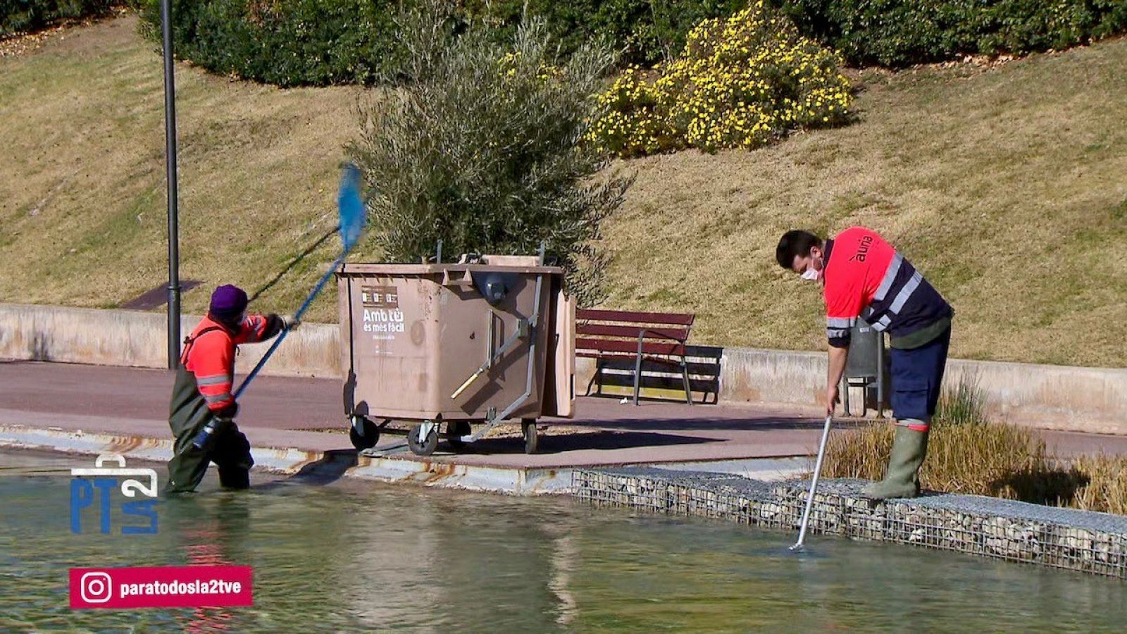 Integración laboral de personas con capacidades diversas. Fundación Auria