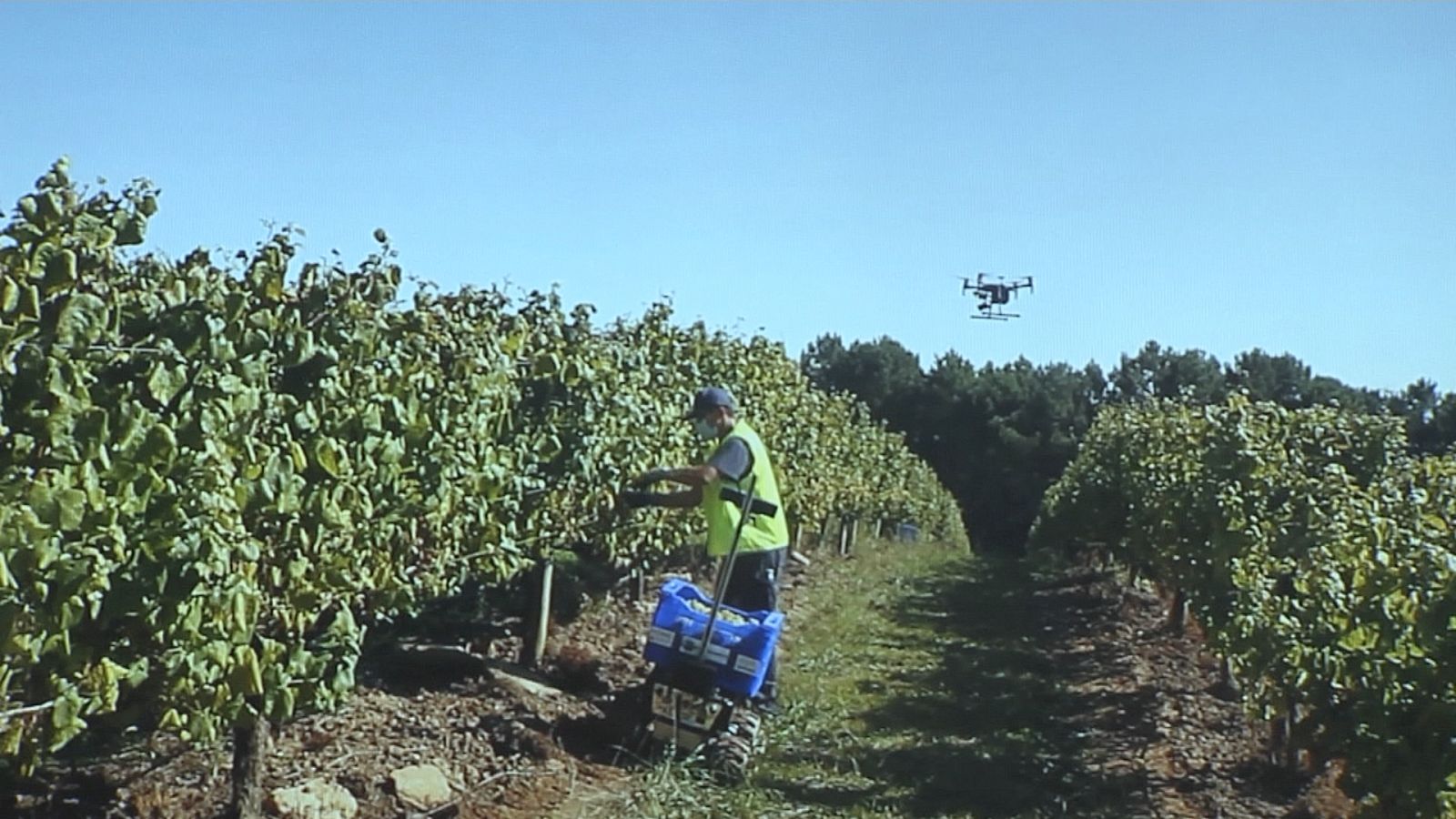 Foro Transfiere se celebra en Málaga - Ver ahora