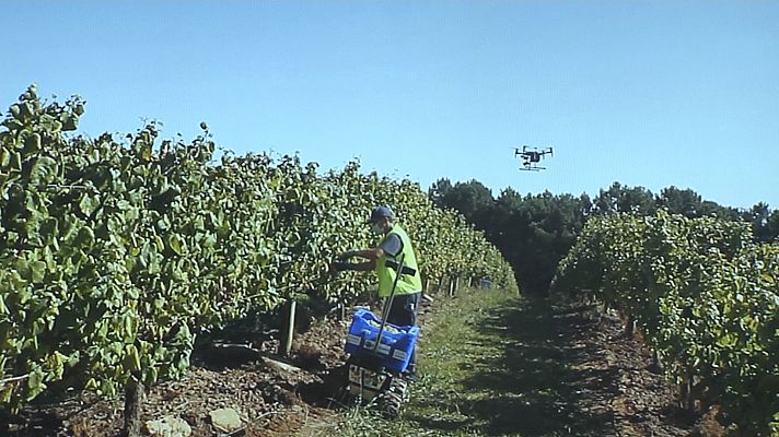 Noticias Andalucía - Foro Transfiere se celebra en Málaga