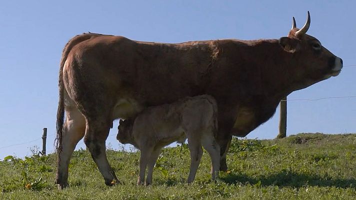Aquí la Tierra - Aquí la Tierra - 17/02/22