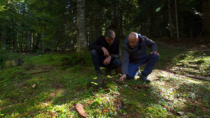 El señor de los bosques - Valle de hecho