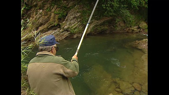 Jara y sedal - El ciclo del salmón atlántico