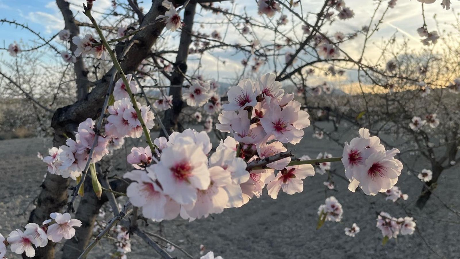 España Directo - 18/02/22 - ver ahora