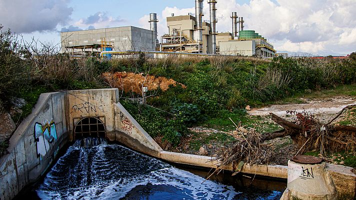 Telediario 1 - La vegetación de la Bahía de Palma sufre los efectos de los vertidos de aguas residuales
