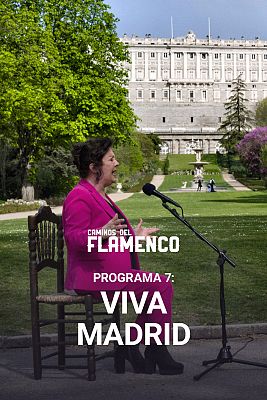 Caminos del Flamenco - Viva Madrid