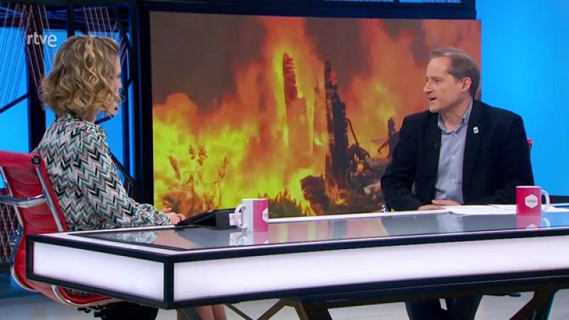 La aventura del saber - "No te comas el bosque", con WWF España - ver ahora