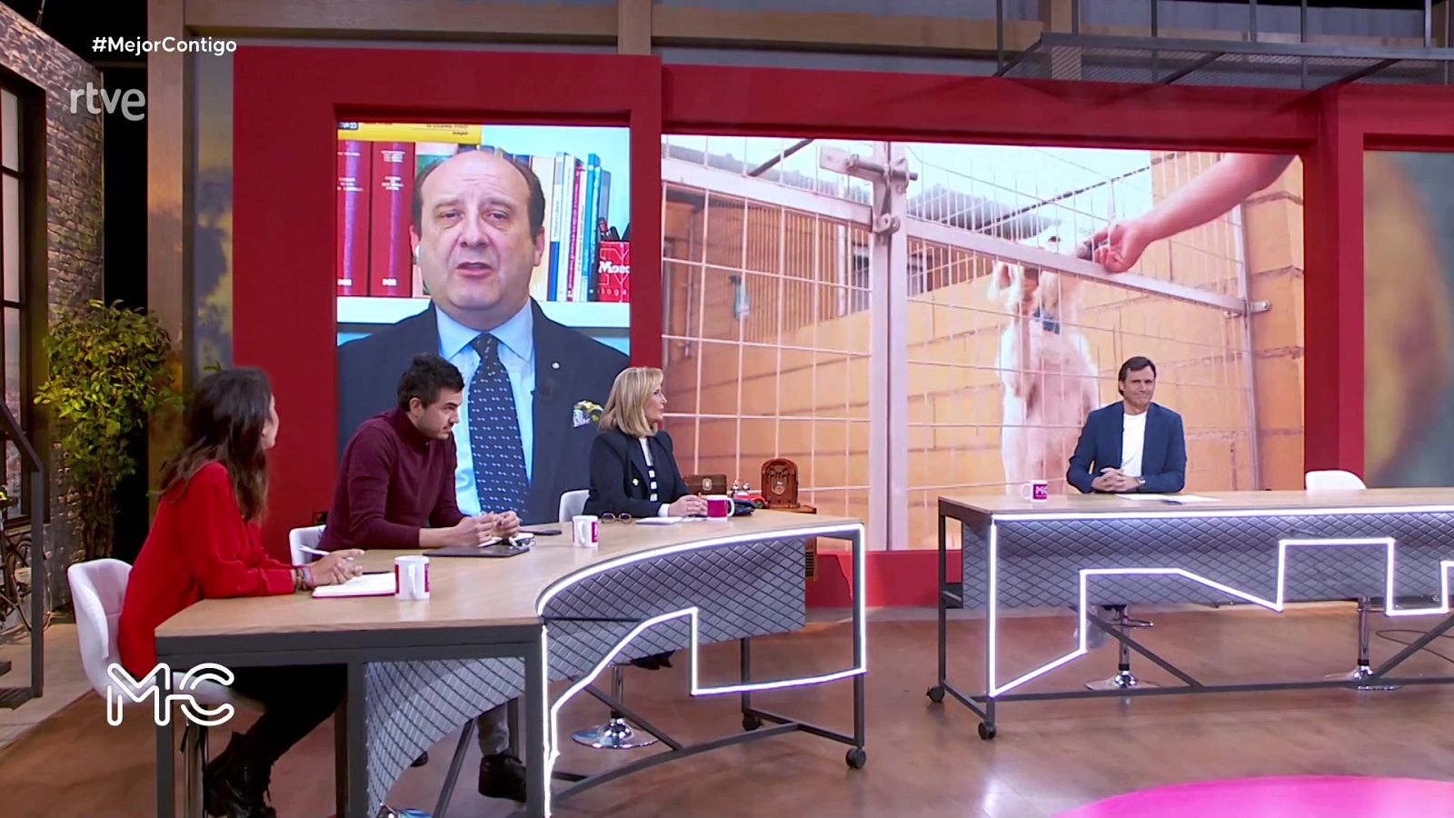 Mejor contigo - Programa 110 - ver ahora