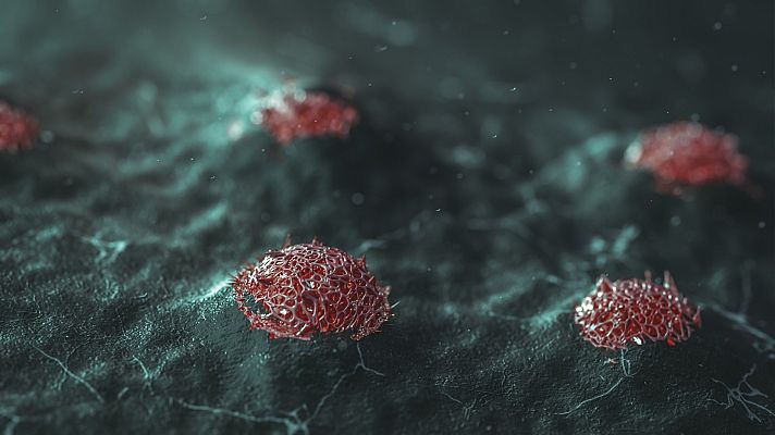 La tarde en 24h - "Parar la proteína 'myc' significa parar el crecimiento de tumores humanos"