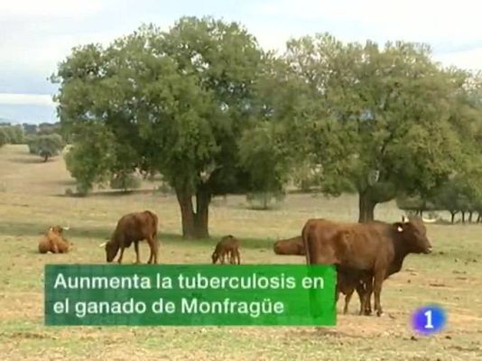 Noticias de Extremadura - Noticias de Extremadura - 27/11/09
