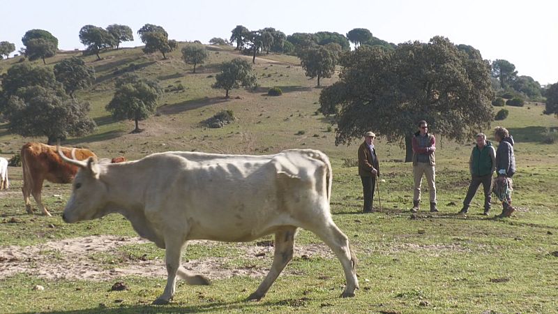 La sequía impide la siembra de forrajes