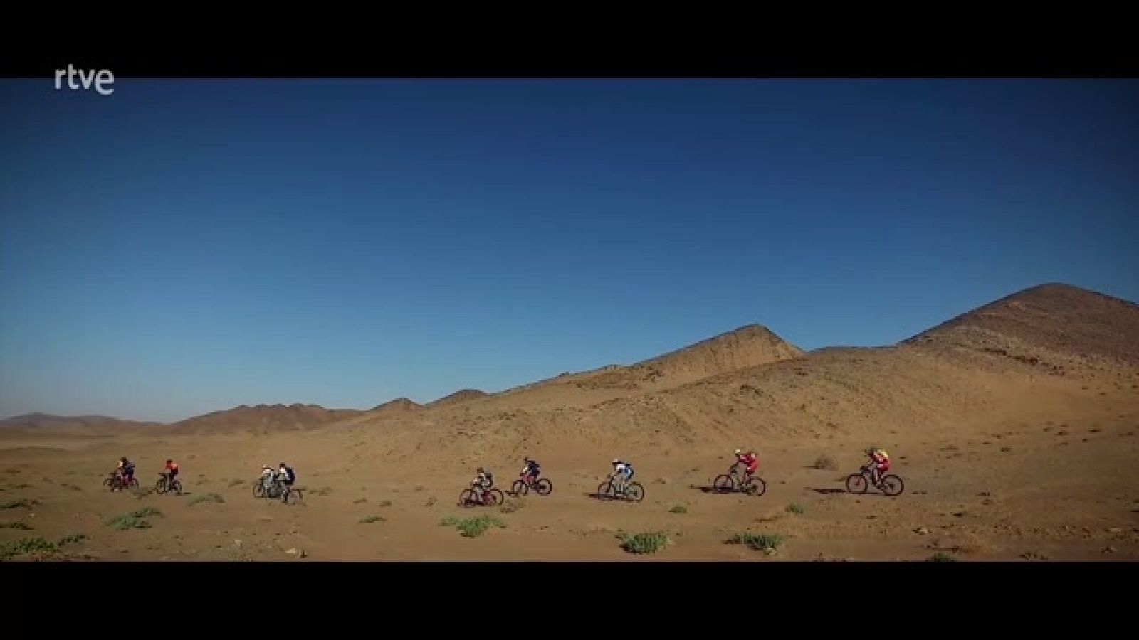 La aventura del saber - Luis Pasamontes, el liderazgo del gregario - ver ahora