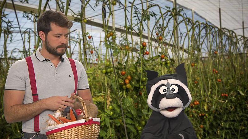 �Murcia, qu� mapacha eres! - Aprendemos en Clan | Ver