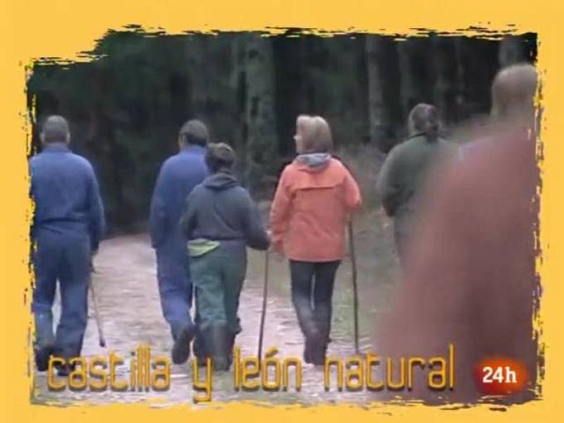 Cibernatural. (27/11/09)