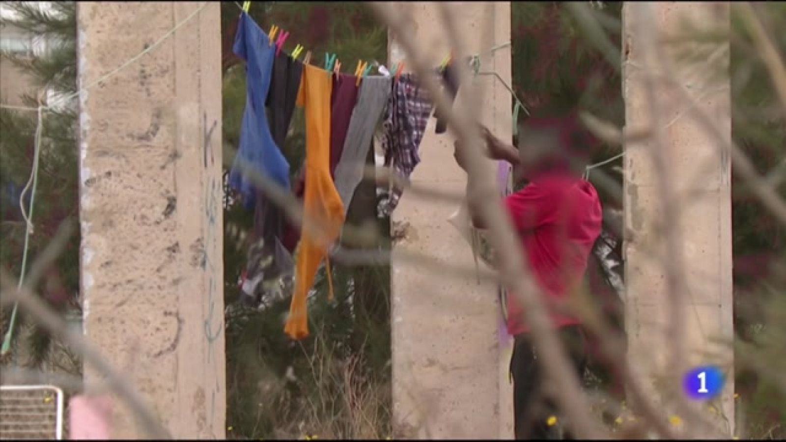 L'Informatiu Comunitat Valenciana 2 - 23/02/22 ver ahora