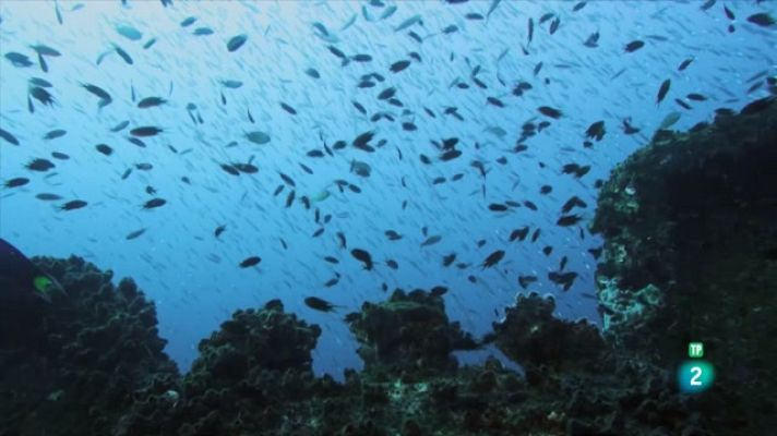 Som Documentals - La naturalesa del nostre planeta Terra. Aigua