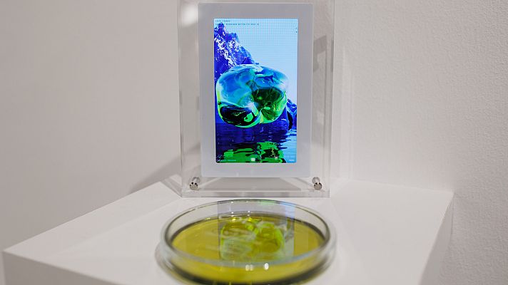 Telediario 1 - Los NFT en ARCO: obras digitales únicas y certificadas