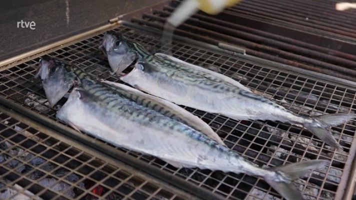 Aquí la Tierra - El verdel, del mar a la parrilla