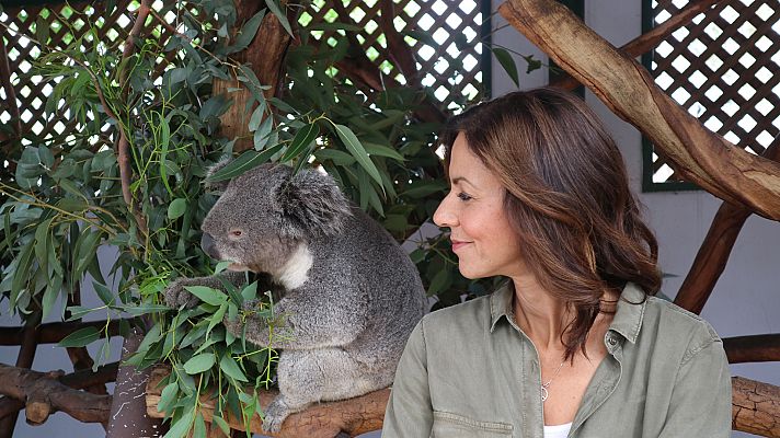 Australia con Julia Bradbury - Montes azules