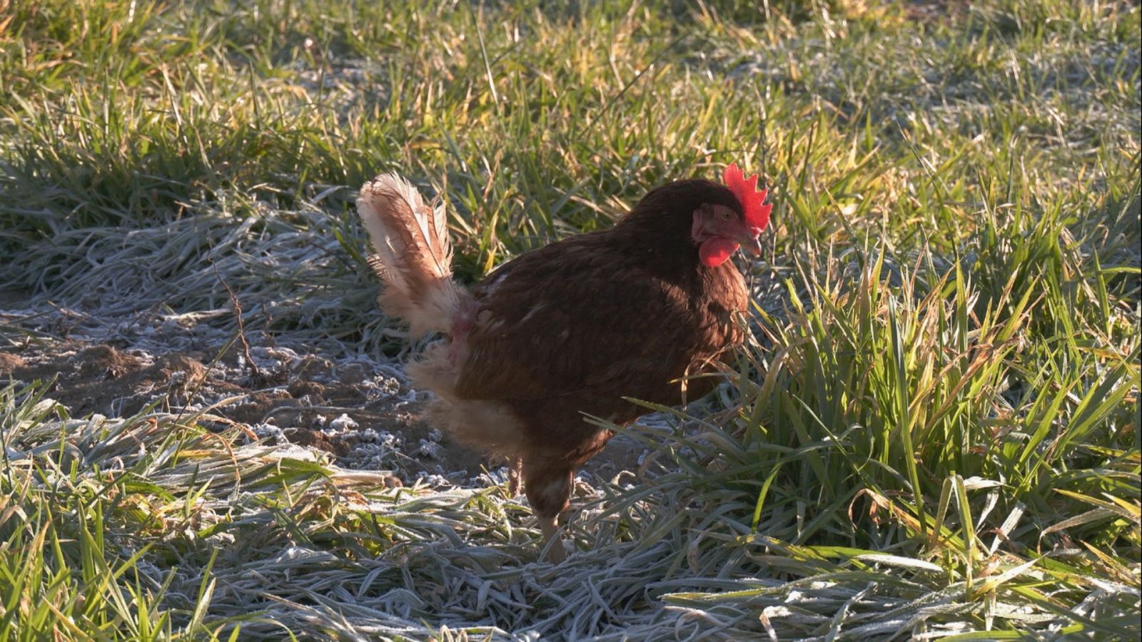 Aquí la Tierra - 25/02/22 - ver ahora