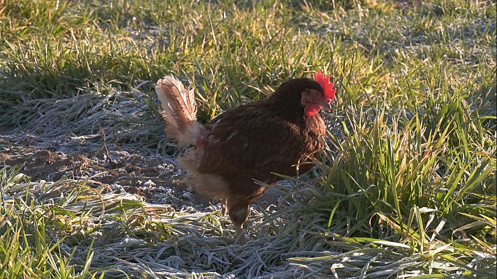 Aquí la Tierra - Aquí la Tierra - 25/02/22