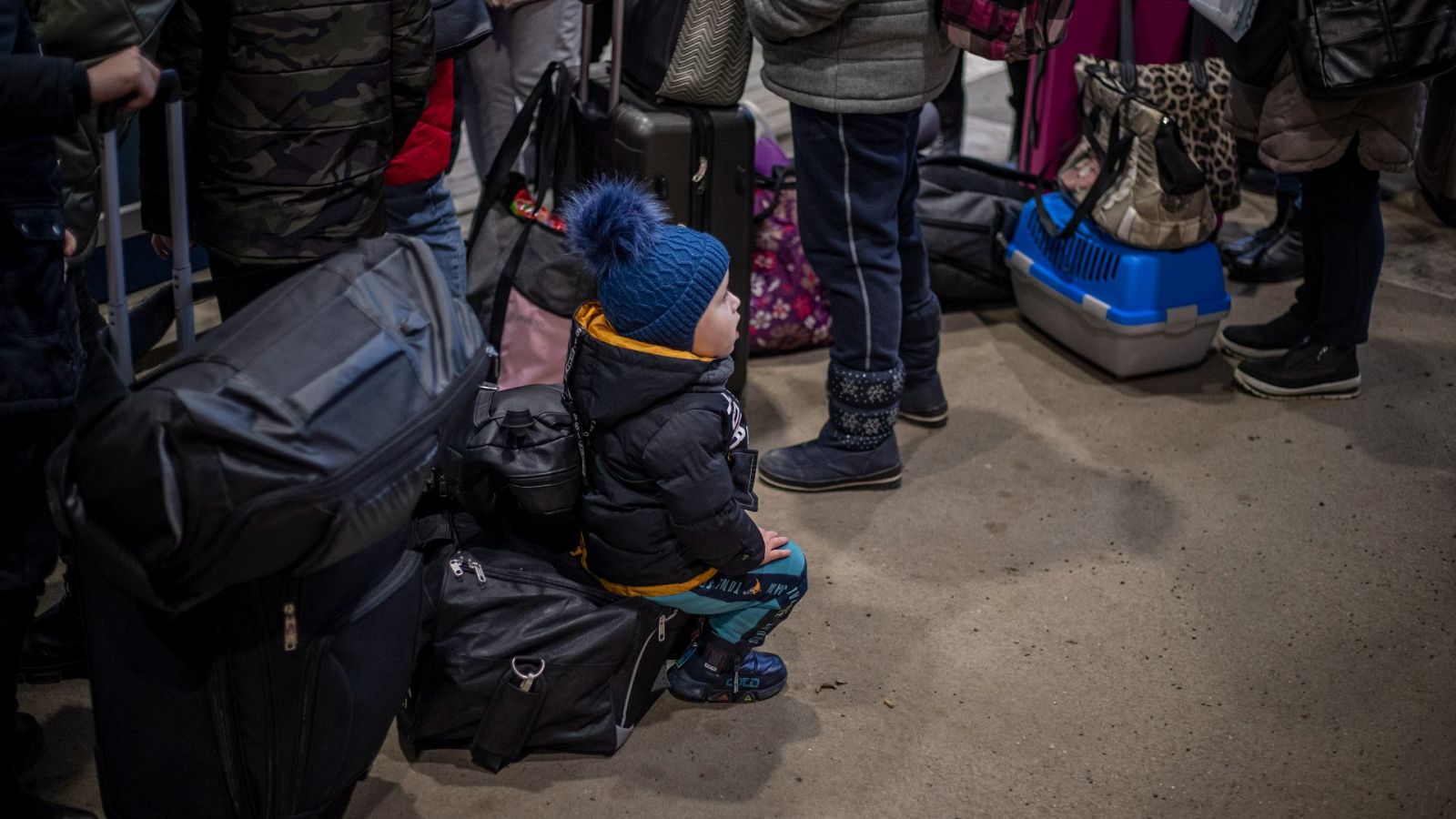 Las familias de acogida se vuelcan con los niños ucranianos | Ver