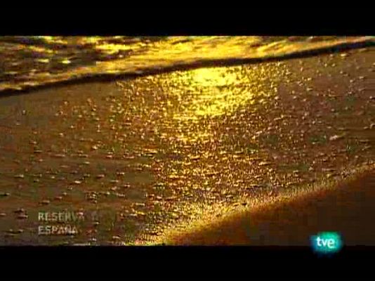 Espacios naturales - Reserva biosfera mundo