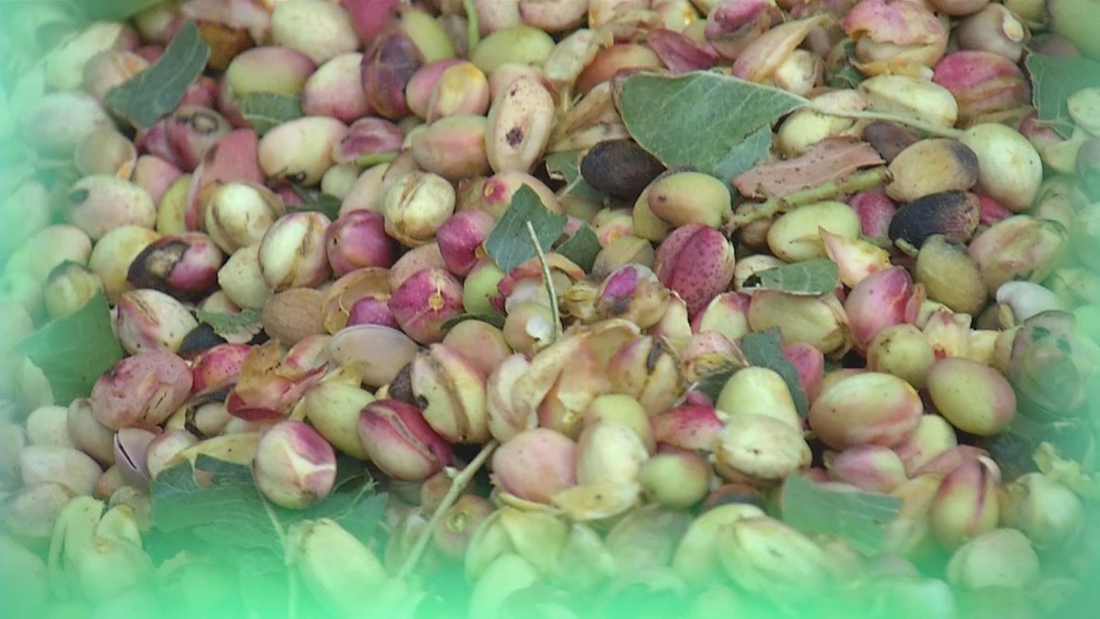 Agrosfera - 26/02/22 - ver ahora