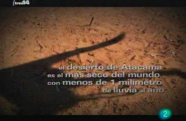 tres14 - Y además
