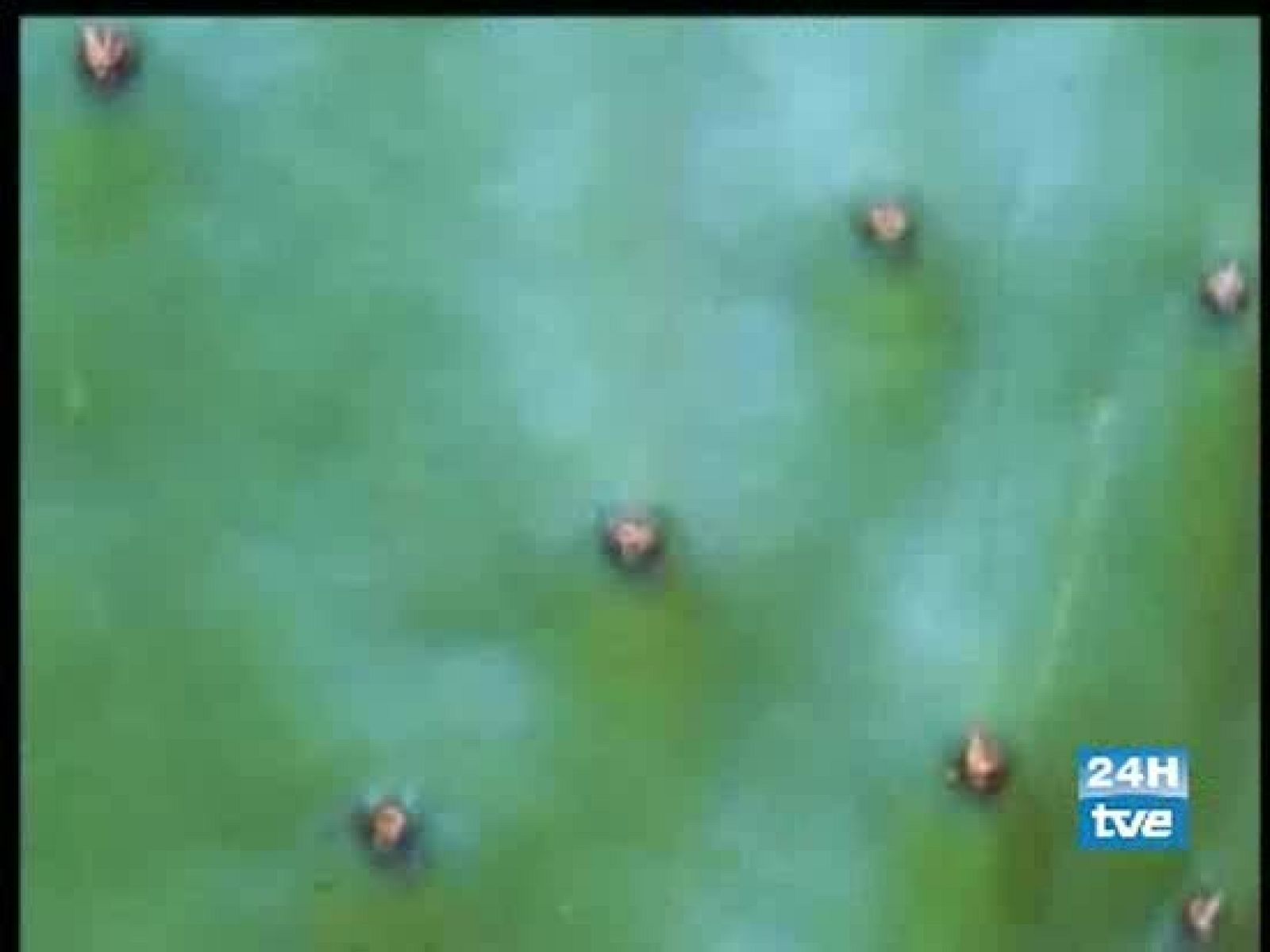 Rincones para perderse en México