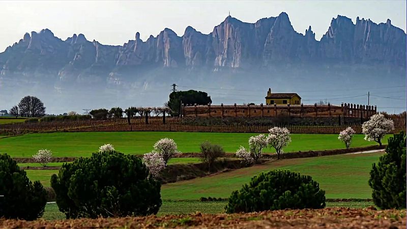 Las temperaturas máximas bajan en el Mediterráneo y Baleares y suben en el resto de la Península, Ceuta y Melilla. Las mínimas bajan salvo en Canarias - ver ahora