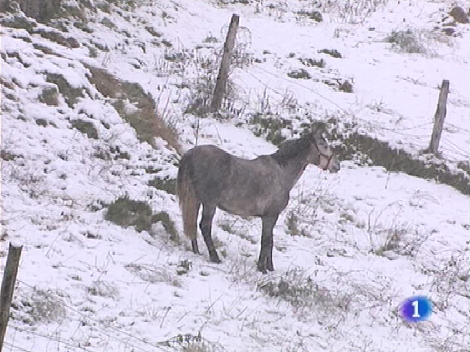 Panorama regional - 30/11/09 - Panorama Regional | Ver