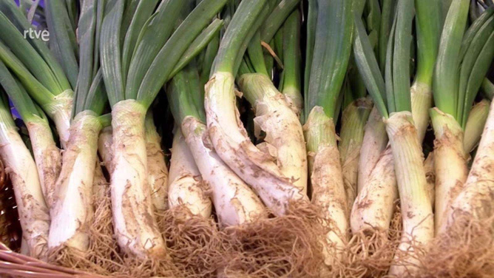 Aquí la Tierra - Todo sobre los calçots, una cebolla tierna muy especial