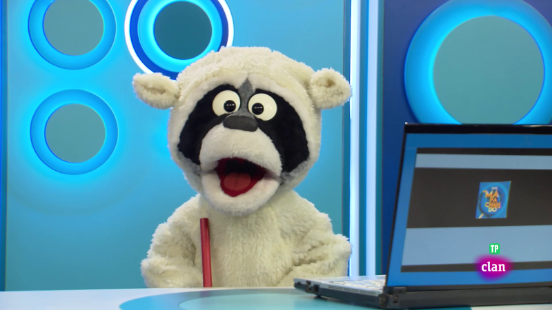 'Est� mapachando' - Mapachumancia y m�s - Aprendemos en Clan | Ver