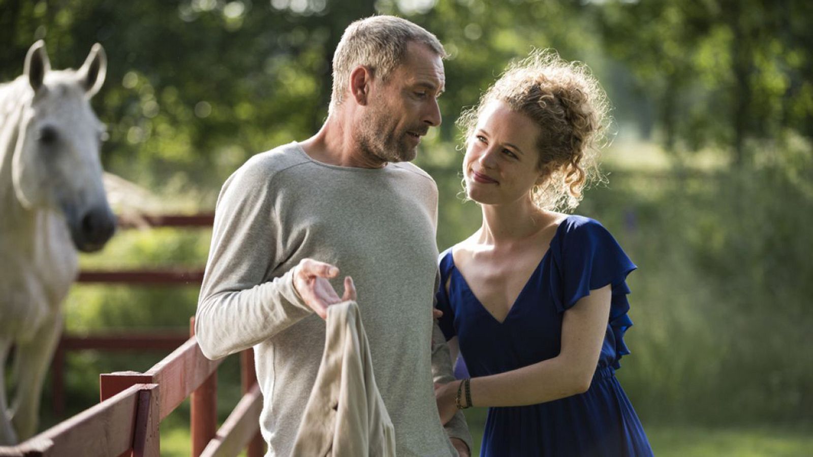 Cine - De vuelta a casa - Ver ahora